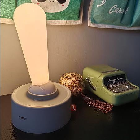 Wall Mount Light