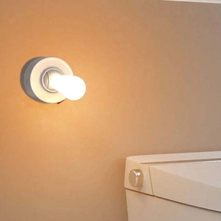 Wall Mount Light