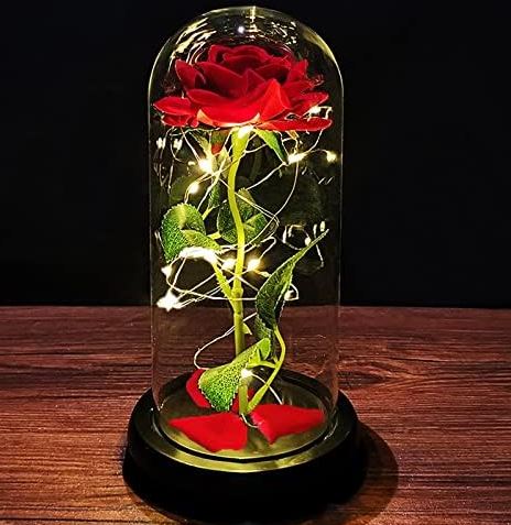 Flower Dome with LED Light