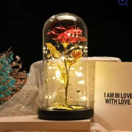 Flower Dome with LED Light